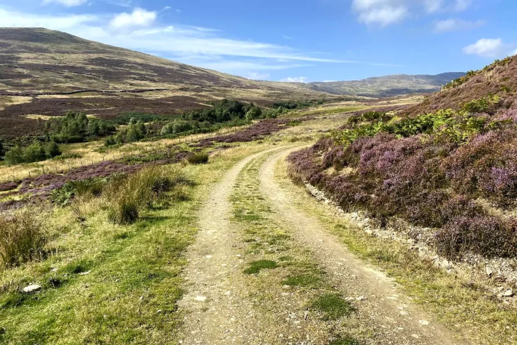 estate road up glen fender